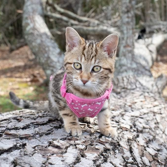 I'm Edith 🌻 - Picture 7 of 8